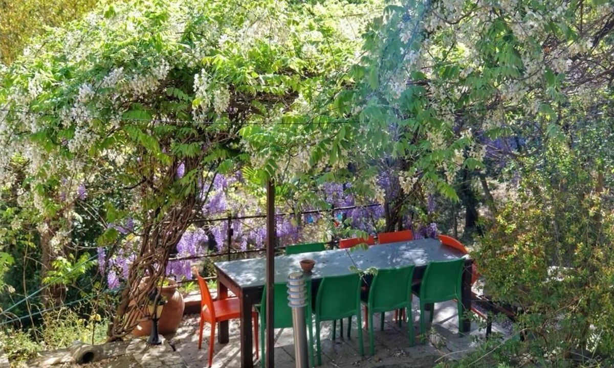 Plage d'Argeles House | Gîtes of Mas-Saint-Laurent for 12 people