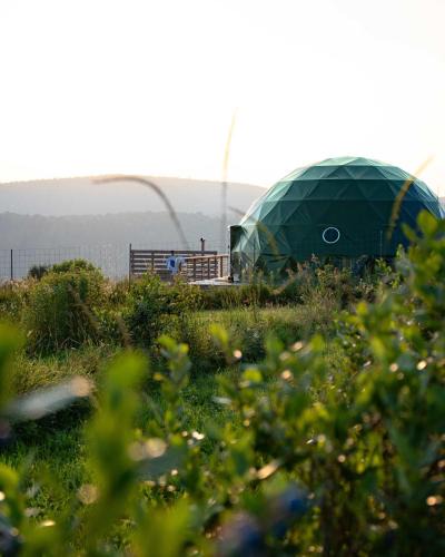 Franklin House | Glamping Getaway at 'The Coyote Dome' in Franklin