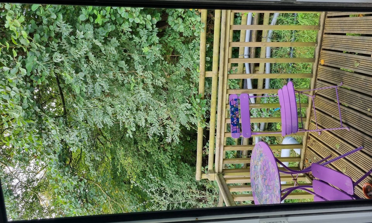 Llanfair Caereinion House | Glamping Hut - Riverview 3