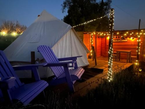 Texcoco de Mora Other | Glamping Rincón de Lavanda