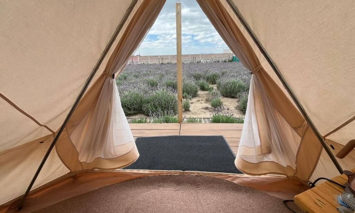 Texcoco de Mora Other | Glamping Rincón de Lavanda