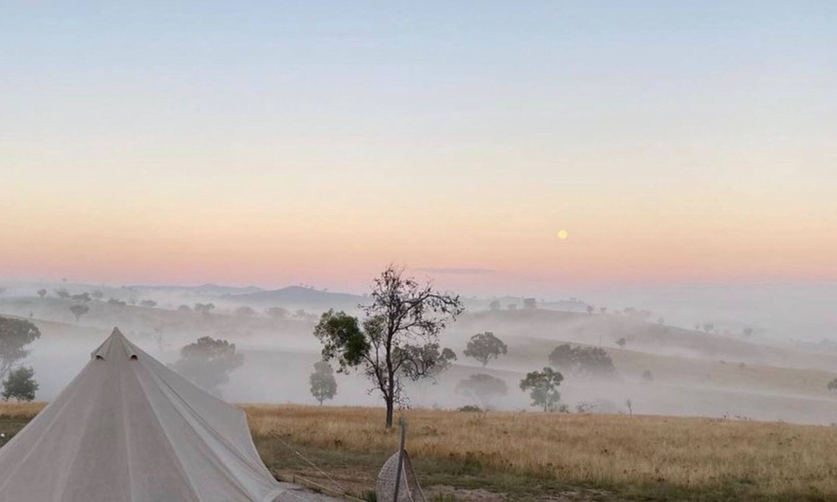 Windeyer Other | Glenayr Farm - Pinot