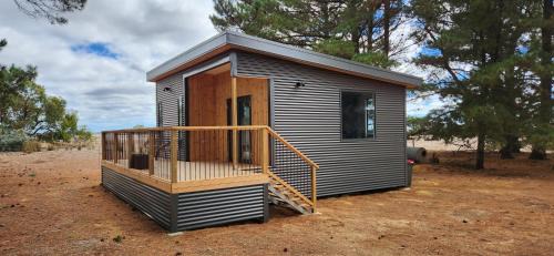 Seddon House | Glossy Black Cabin