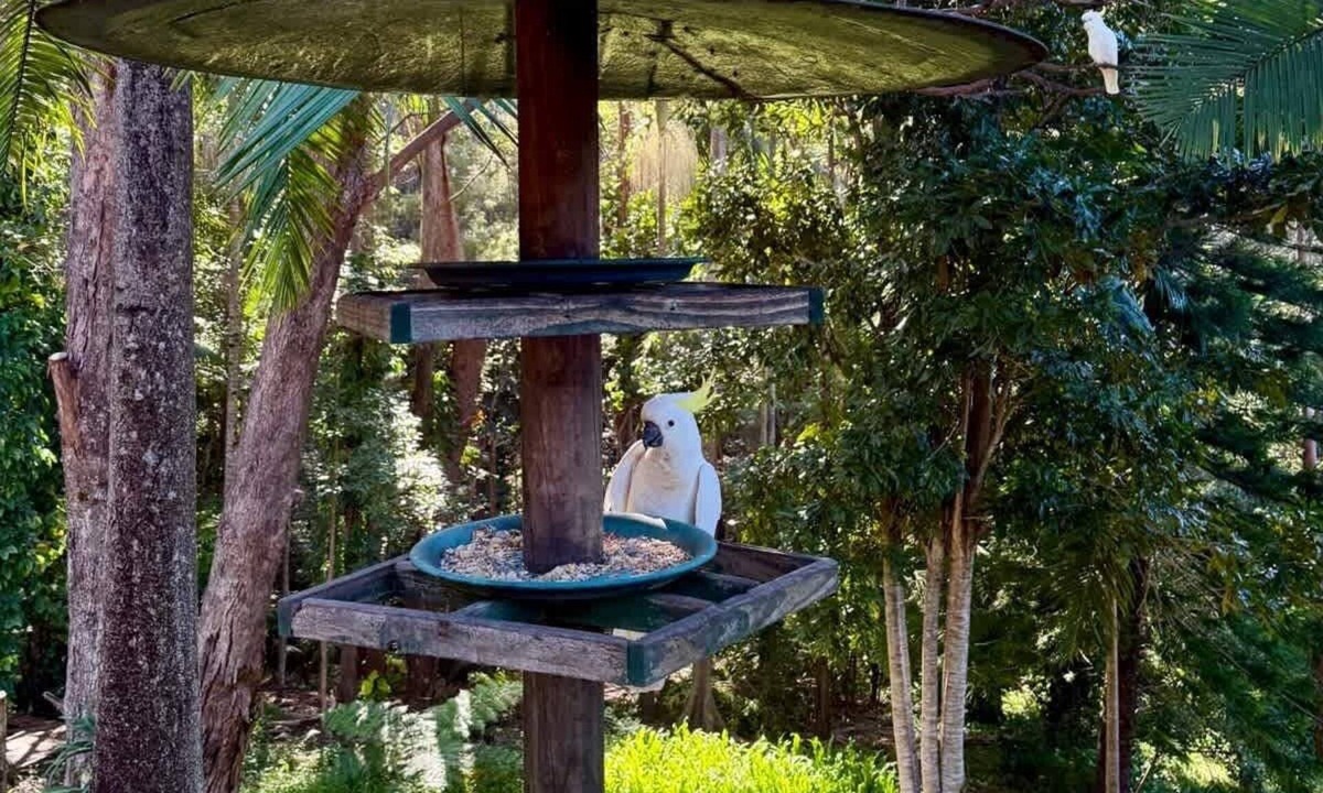 Bonogin House | Gold Coast Pet-friendly Nature House