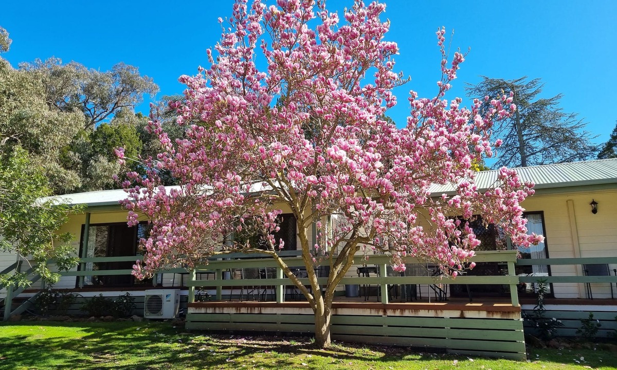 Beechworth Cottage | Golden Heritage Apartments Beechworth