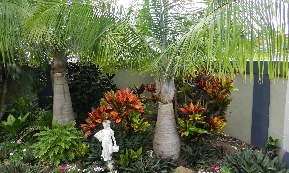 Svensson Heights Hotel | Golden Palms Motor Inn