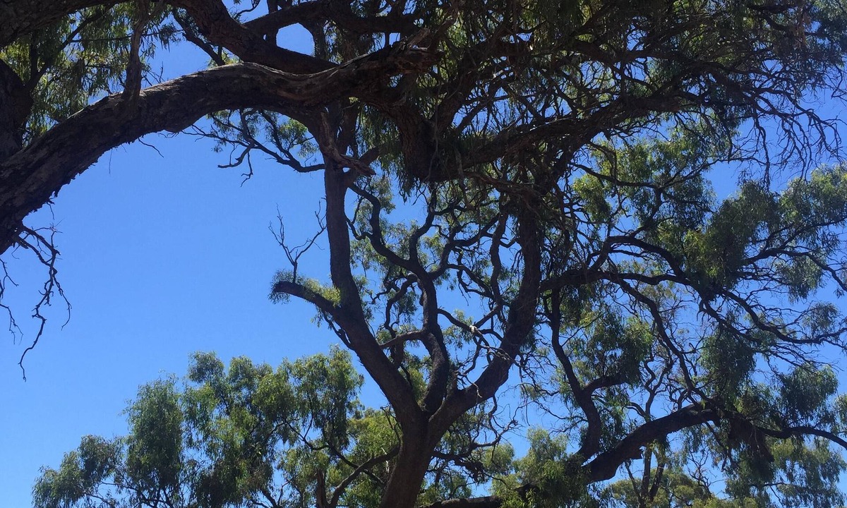 Wedderburn House | Goldfields homestead retreat