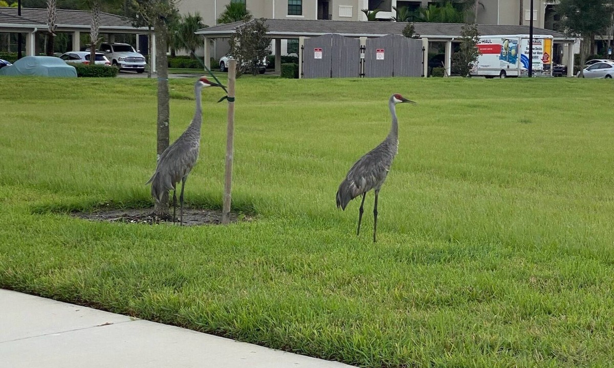 Braden River Condo | Golfers Dream