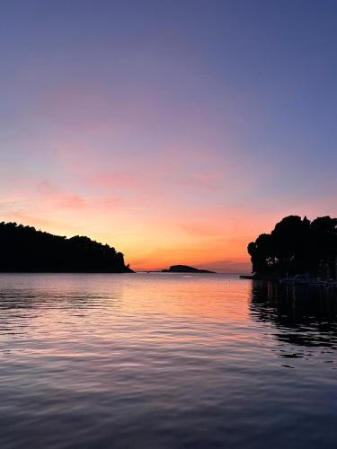 Cavtat Apartment | Gorgeous apartment Dora