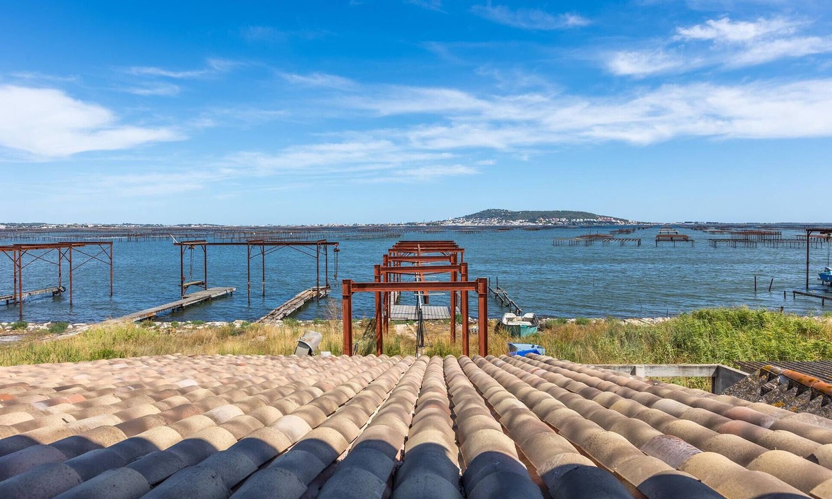 Loupian House | Gorgeous home in Loupian with house sea view