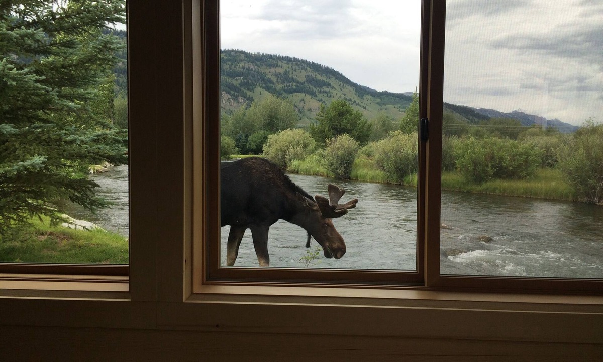 Wilson Cabin | Gorgeous Restored Historic Cabin