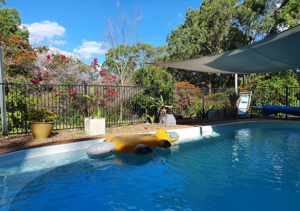 Singleton Shire Council House | Gowrie Agapanthus