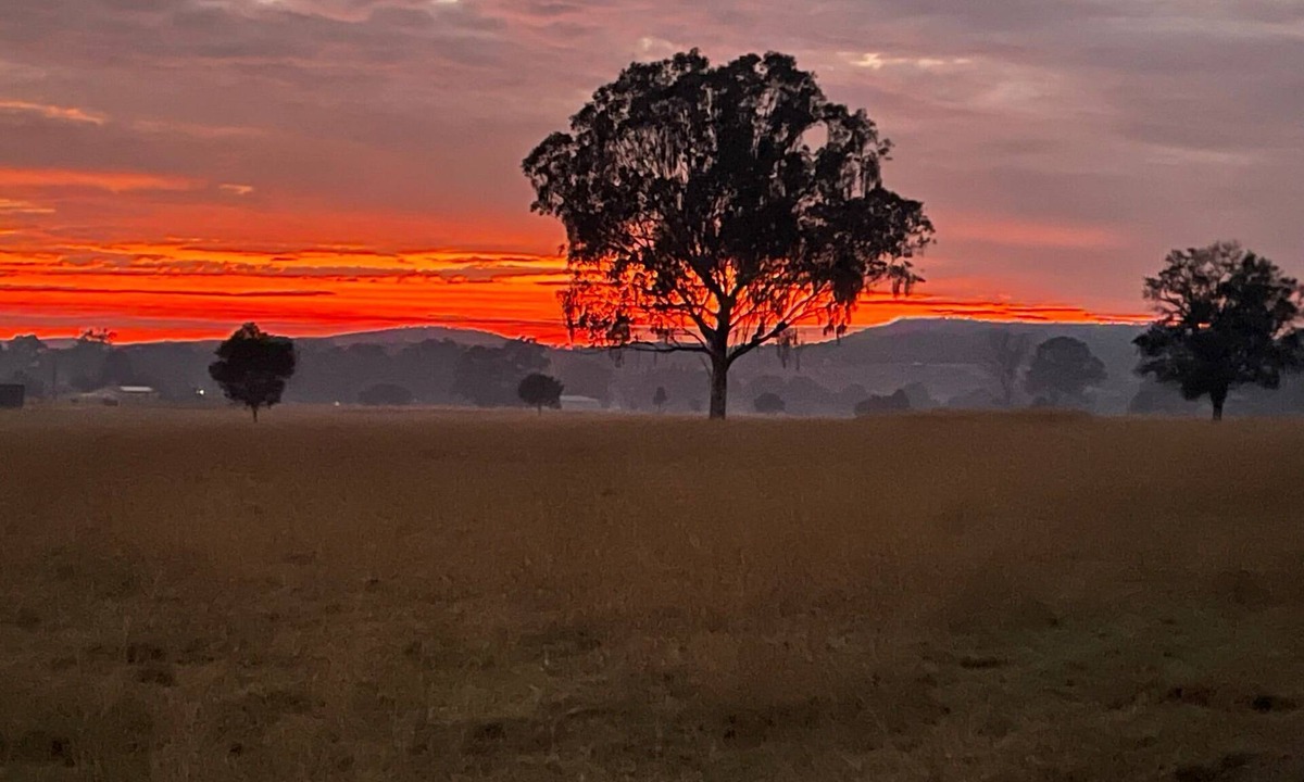 Mount Alford House | Graceland by Tiny Away