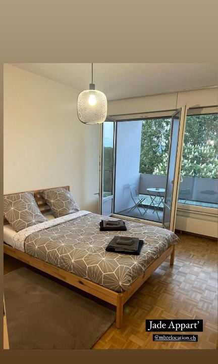 Thonex Apartment | Grand appartement