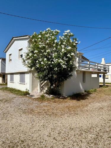 Gruissan Plage Ski Chalet | Grand Chalet pour 6, wifi