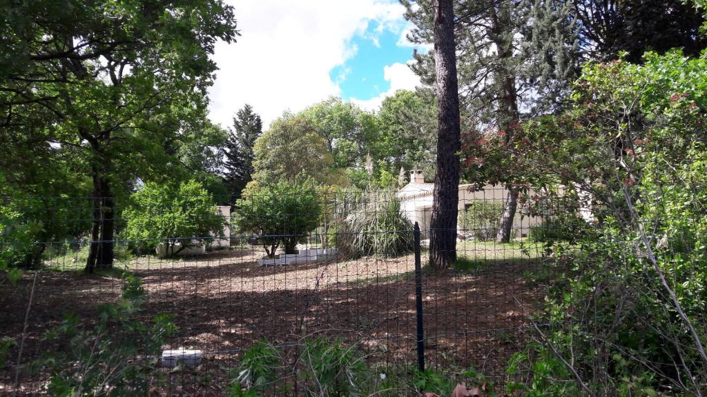 Sainte-Anastasie House | grand mas de terre rouge