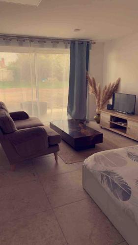 Joue-les-Tours Apartment | Grand studio cosy avec terrasse