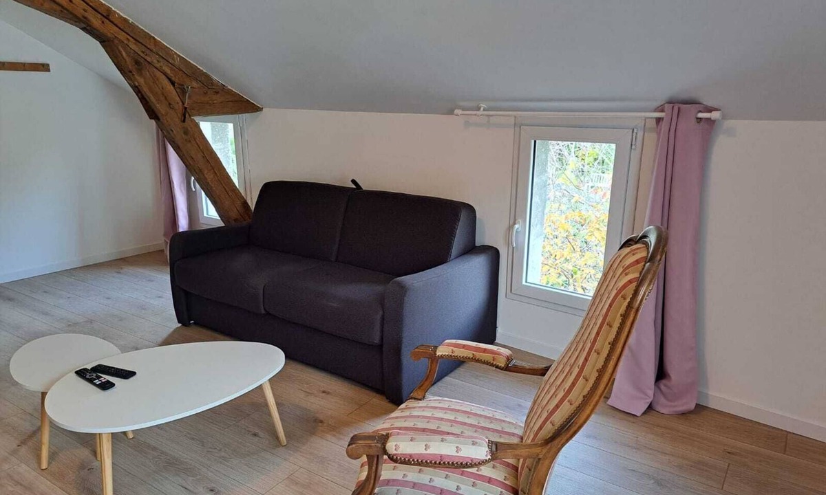 Ancenis Apartment | Grand Studio Garden View