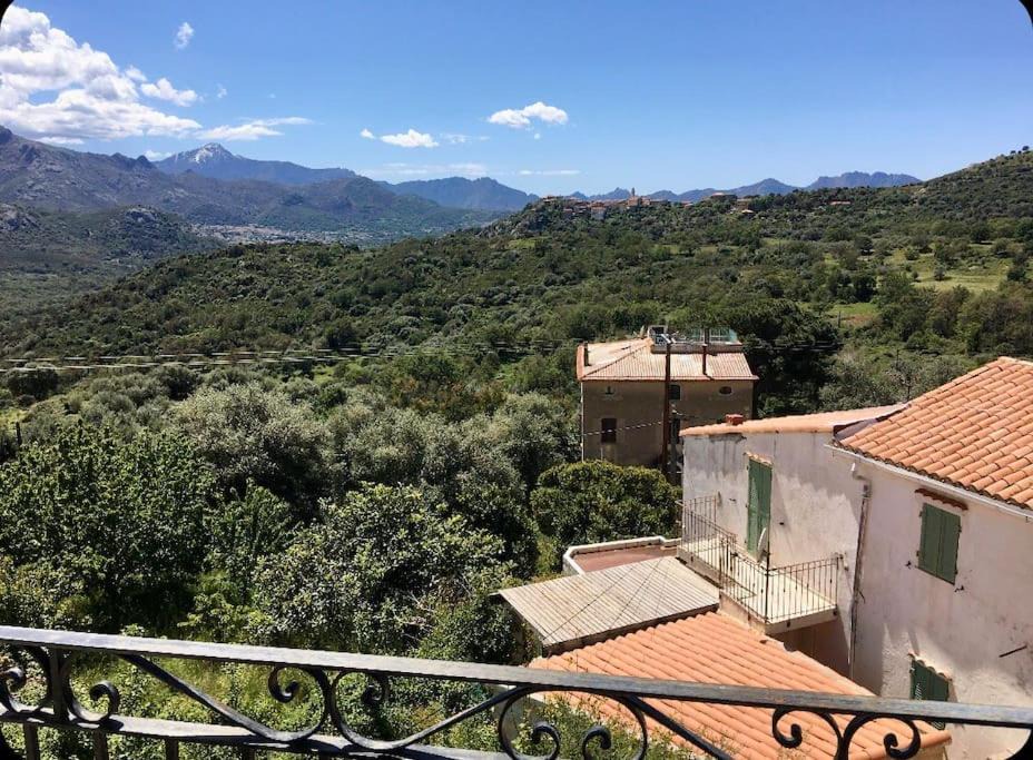 Montegrosso Apartment | Grand studio Montegrosso