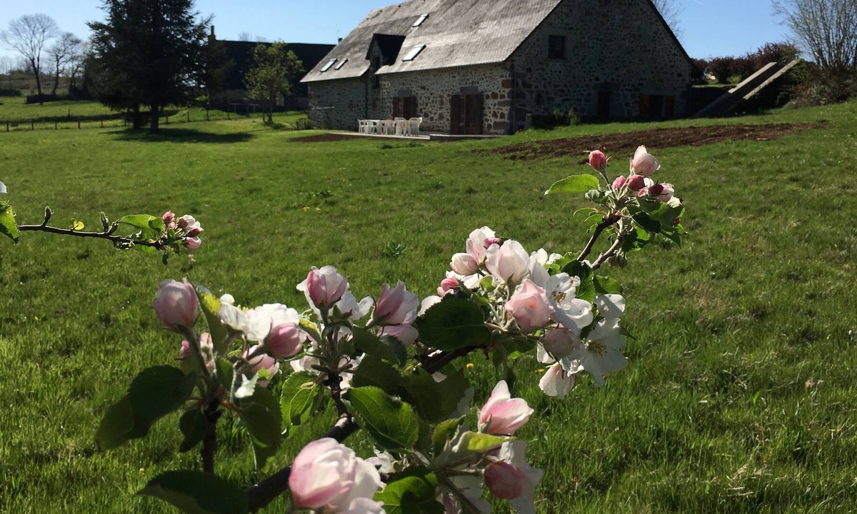 Saint-Cirgues-de-Malbert House | Grange authentic Auvergne