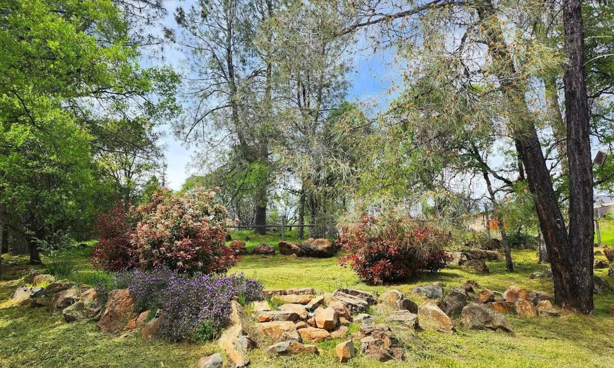 Alta Sierra House | Great 3-bed 3-bath house Alta Sierra, -Golf Course - Like Living in a Forest!