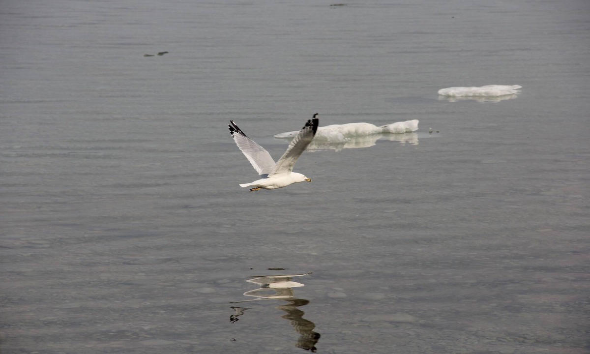 Petoskey Apartment | Great Holiday Getaway!