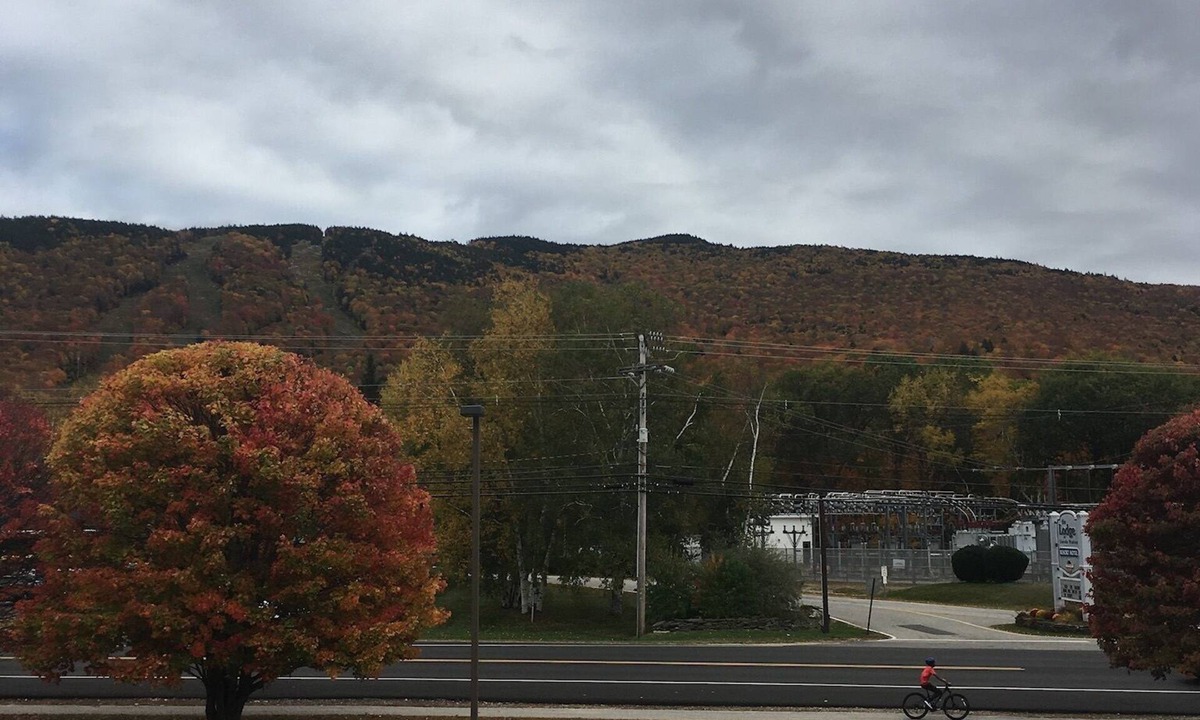 Lincoln Condo | Great location, Mountain View