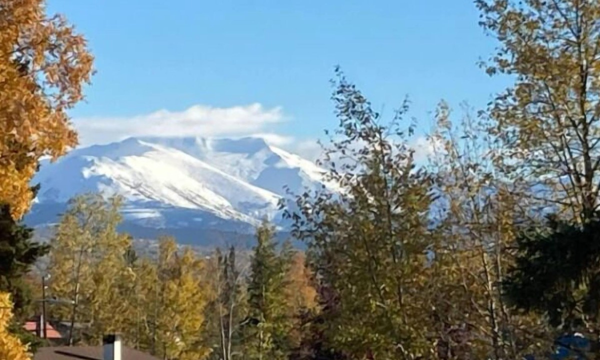 Campbell Park Apartment | Great North Lodging