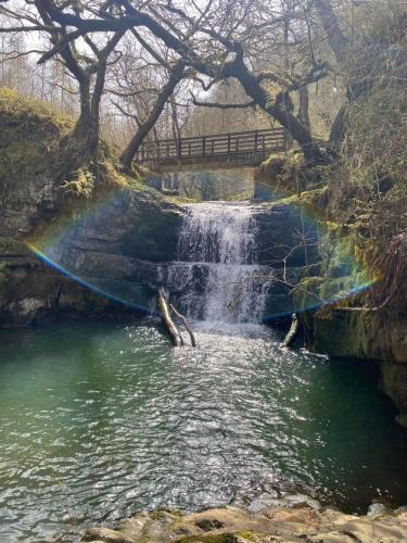 Abercwmboi House | Great Oak Pod 9 Pet Friendly