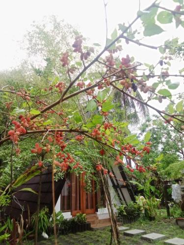 Kecamatan Lembar House | Green cottage