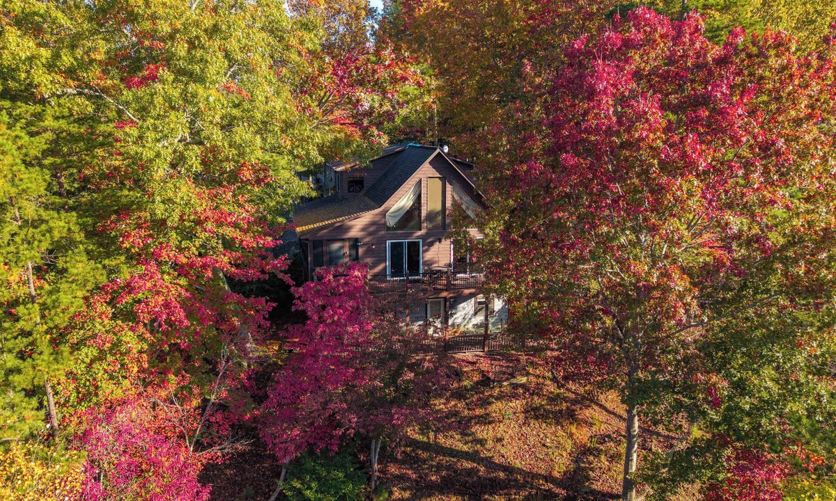 Murphy House | Green Forest Lodge - Pet Friendly