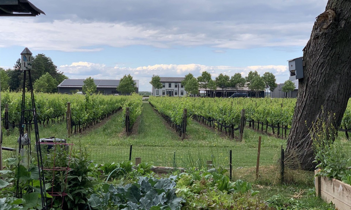 St. Davids Bed & Breakfast | Green Oaks Bed and Breakfast