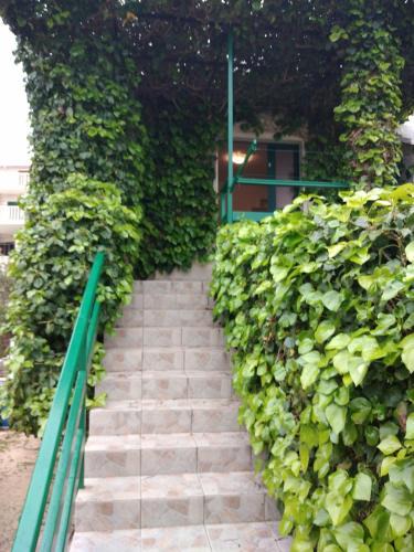 Bol Apartment | Green Oasis