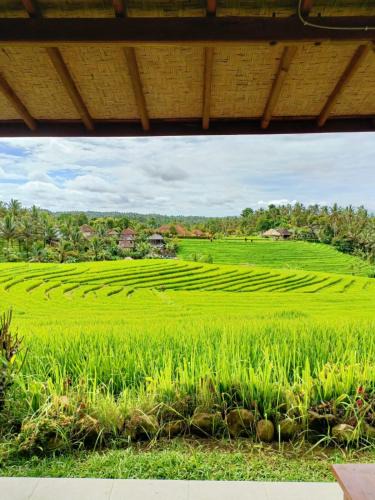 East Selemadeg House | Green Ponci Retreat By Balitrees