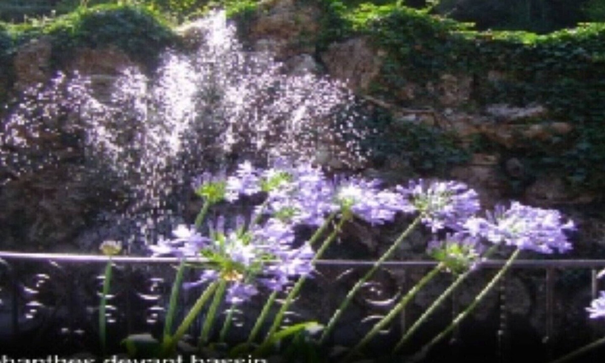 Bez-et-Esparon Bed & Breakfast | GREEN ROOM IN CHATEAUX MASSAL