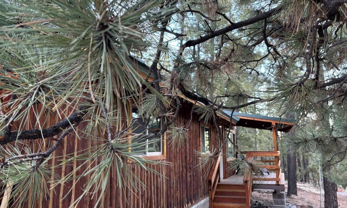 Greer Cabin | Greer Piney Hollow Cabin