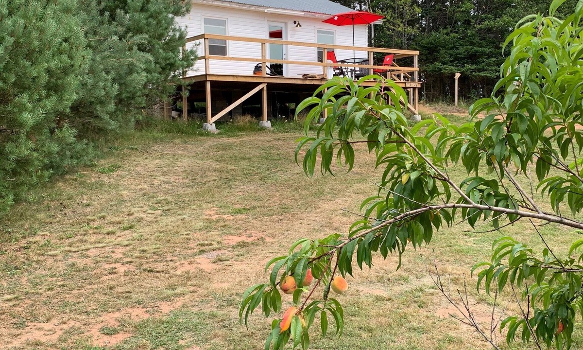 Flat River Cottage | Grey Bear Cottage