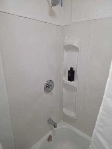 Carrolls House | Grey cabin