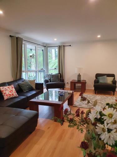 Tecoma House | Grey Gum Getaway Tecoma