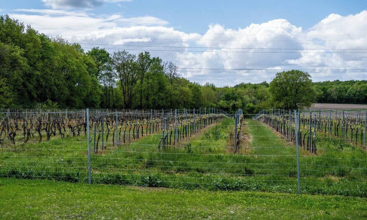 Grezac House | GRÉZAC, this is your home.