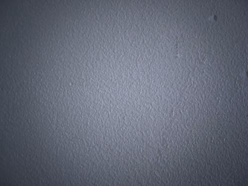 Calgary House | Grier Place