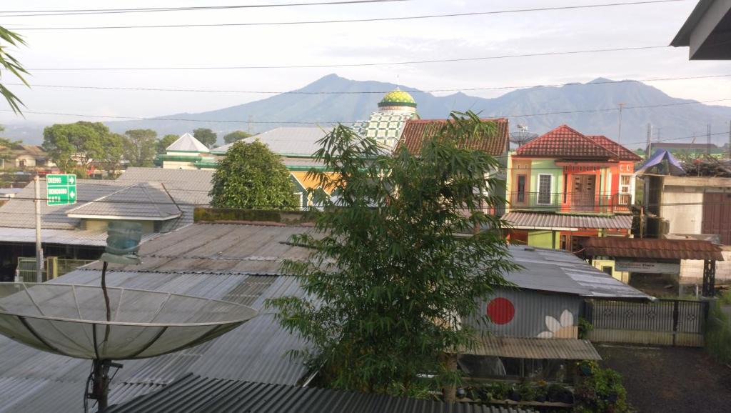 Wonosobo House | Griya Krakatau Homestay