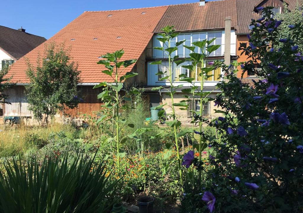 Hallau Apartment | Grosszügiges Bauernhaus für Familie und Freunde