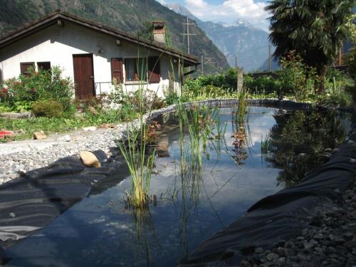 Giornico Bed & Breakfast | Grotto Pergola