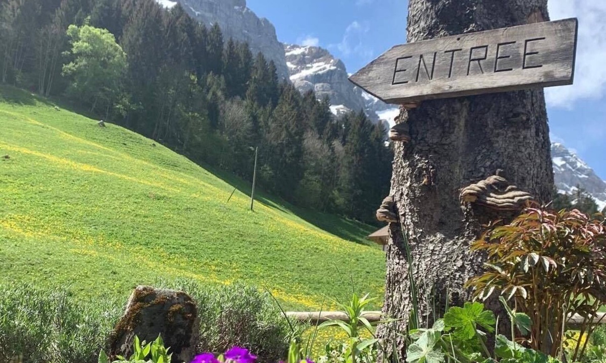 Champery House | Guest House du Grand Paradis