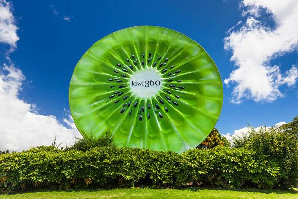 Te Puke House | Guest House in Tepuke