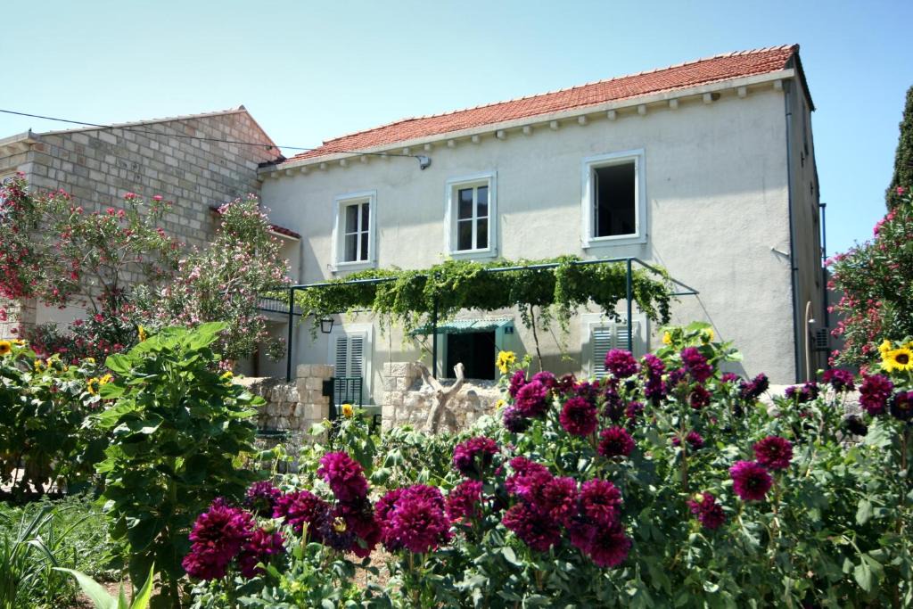 Zaton House | Guest House Katica