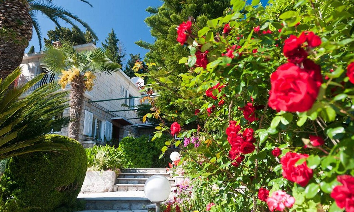 Mlini House | Guest House Villa Nina