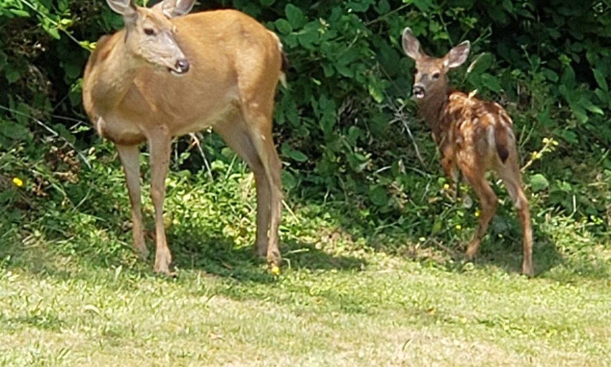 Monroe House | Guest House w/view