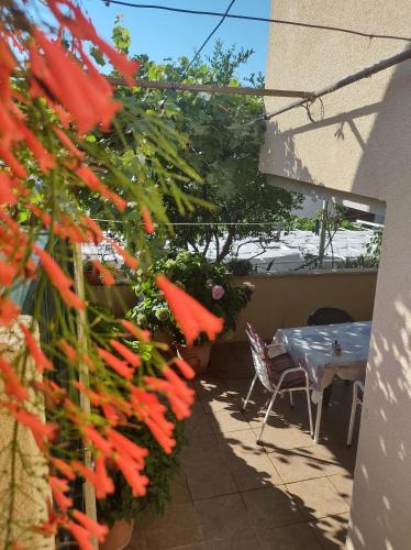 Babin Kuk House | Guesthouse Anna